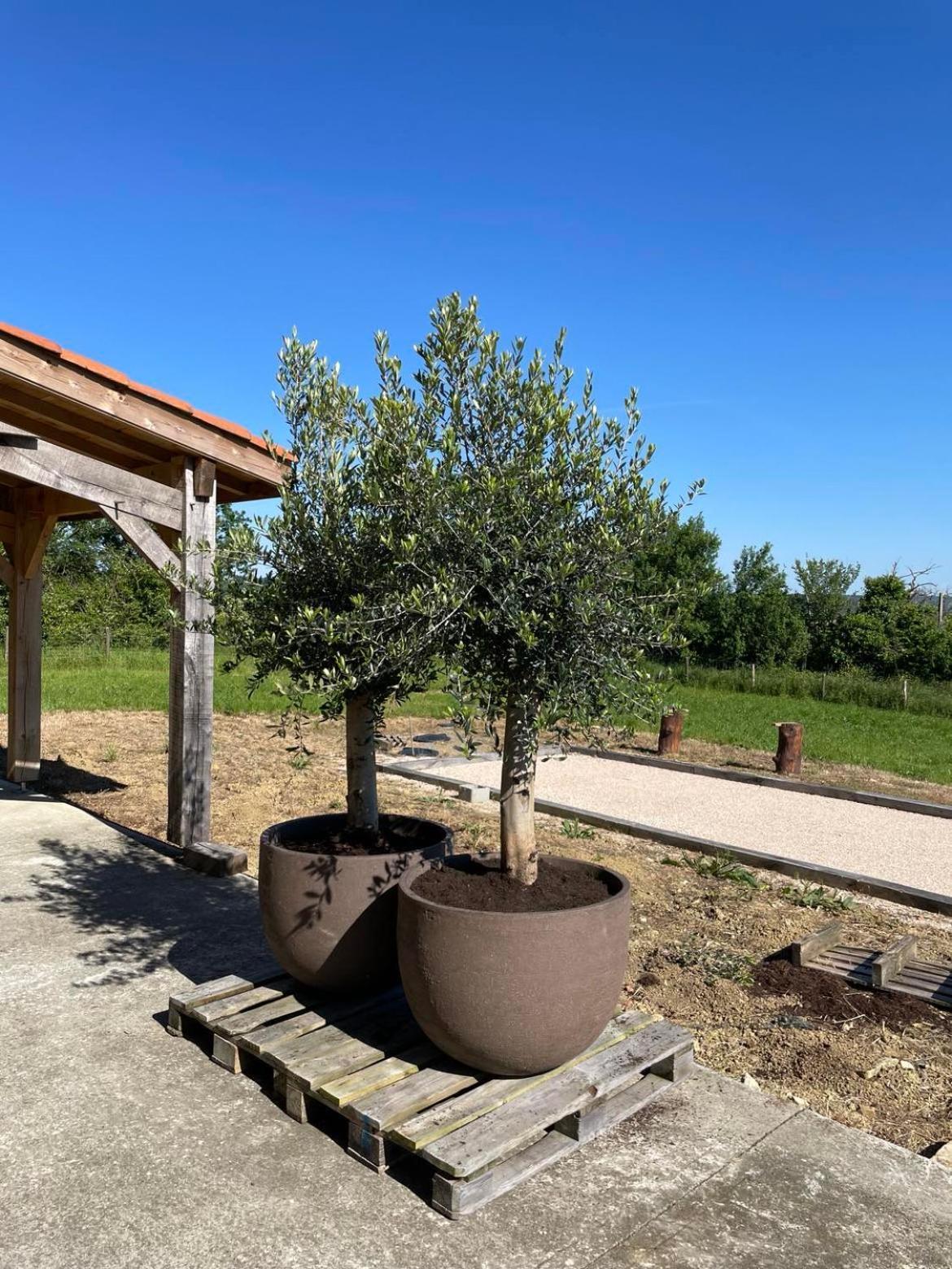 Maison Cabet Castelnavet Exterior foto